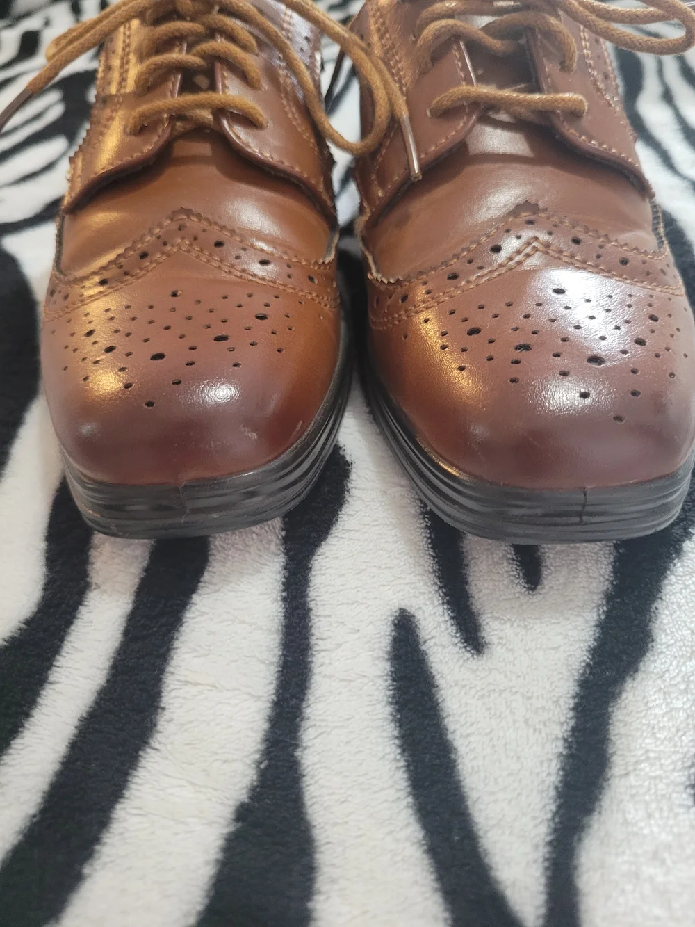 Deer Stags Toddlers' Brown Wingtip Dress Shoes